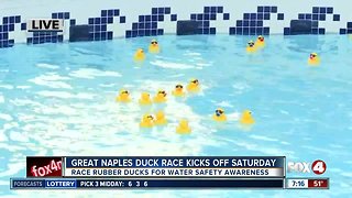 Great Naples Duck Race raises money and awareness for water safety - 7am live report