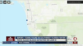 Toxic algae bloom discovered in Collier County