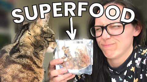 Every raw cat food diet NEEDS this