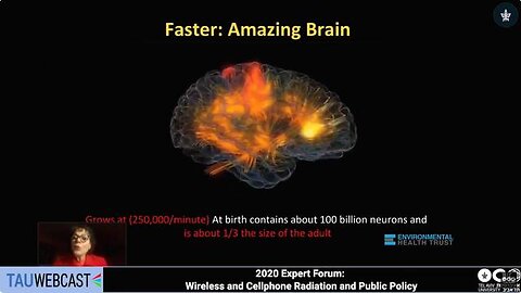 Dumbing down of humanity Prenatal cell phone exposure leads to fewer brain cells