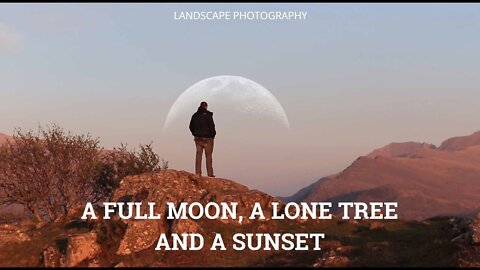 A Full Moon, A Lone Tree And A Sunset