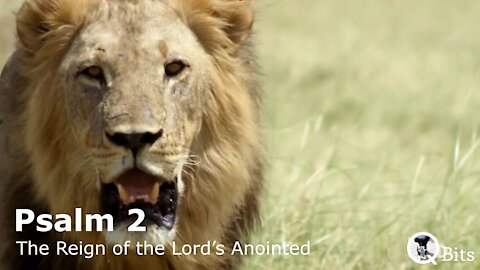 PSALM 002 // THE REIGN OF THE LORD'S ANOINTED