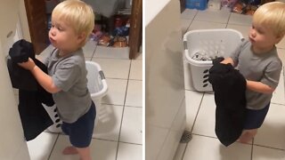 Toddler Loves To Help Mommy With The Laundry