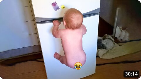 Funny Baby Videos - The Ultimate Try Not to Laugh Challenge!