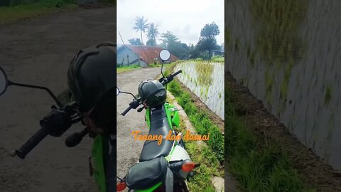 suasana di pedesaan, tenang dan damai