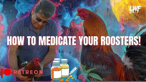 Discover the Miracle Medicine for Gamefowl Health!