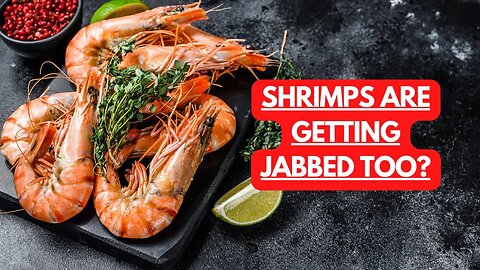 Shrimps Are Turning Into GMO