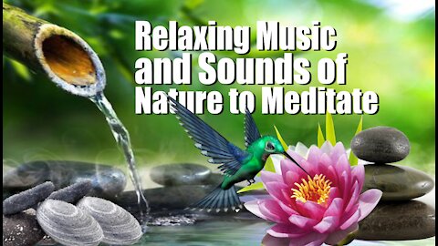 🎼 [2021] 🎼 Relaxing Music and Sounds of Nature to Meditate