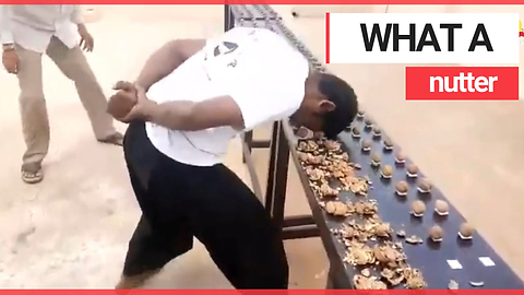 Man smashes world record for smashing walnuts with his head