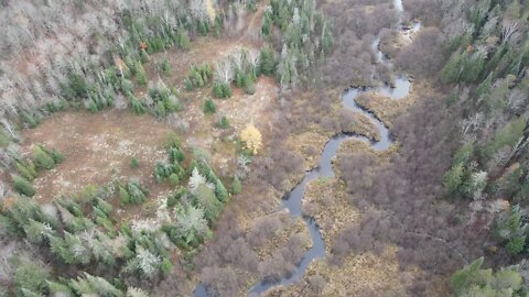 Hey! Look At That... Found A Creek At The End Of The Property With The Drone!