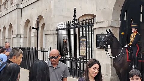 Royal Horse spots police horse's in the distance #horseguardsparade