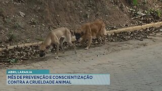 Abril Laranja: Mês de Prevenção e Conscientização contra a Crueldade Animal.