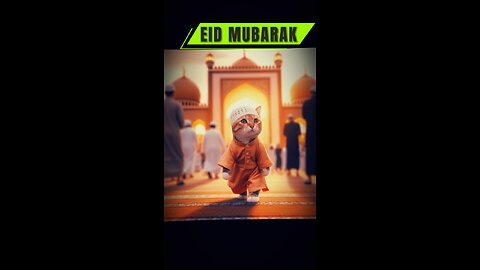 Eid Festival ~ Cat Enjoying The Eid Day