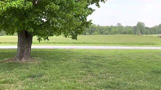 Kentucky Rainstorm: Listen to it coming down!