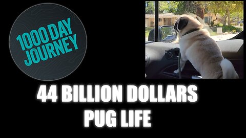 1000 Day Journey 0267 44 Billion Dollars Wasted / Pug LIfe