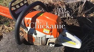 How to install a NEW PULL ROPE in your CHAINSAW (MS251 Stihl)