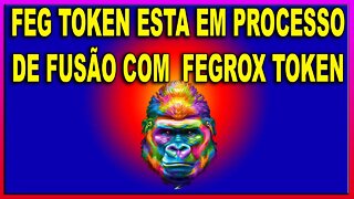 FEG TOKEN ESTA EM PROCESSO DE FUSÃO COM FEGROX TOKEN !