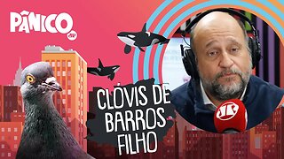 CLÓVIS DE BARROS FILHO - PÂNICO - AO VIVO - 24/06/20