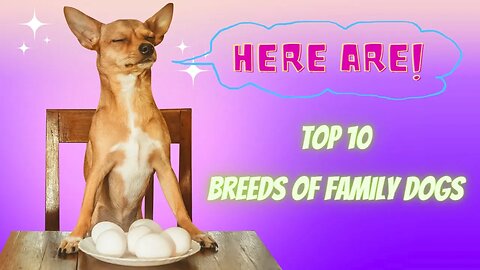 Top 10 Breeds of Family Dogs