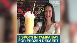 5 spots for delicious frozen dessert in Tampa Bay