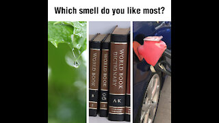 Which smell do you like most [GMG Originals]