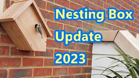 Nesting Box Update 2023