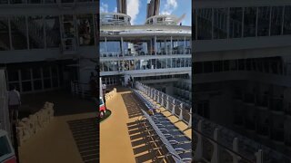 Zip Line on Symphony of the Seas!