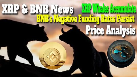 XRP Whales Accumulate, Can Price Recover Now? | BNB’s Negative Funding Rates Persist | XRP Analysis