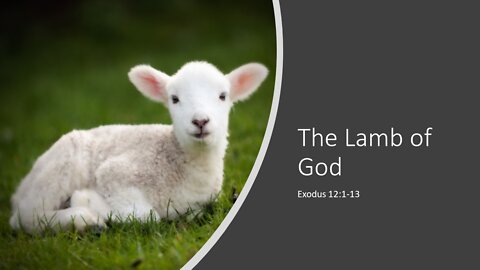 April 10, 2022 - "The Lamb of God: From Passover to Passion Week" (Exodus 12:1-13)