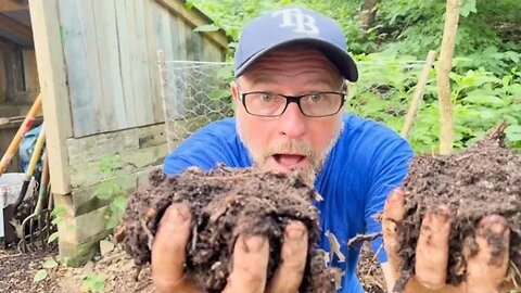 Leaf Mold/Compost update