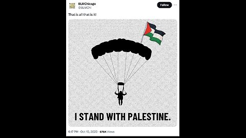 BLM shows SUPPORT for Hamas and Palestine!