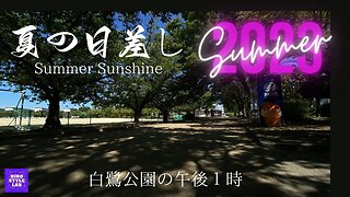 白鷺公園の夏の日差し【Summer sunshine in Shirasagi Park】リハビリ散歩に過酷な日差し、それでも夏の光を感じたくて！＃夏本番、＃摂氏37度、＃木陰はオアシス