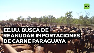 EE.UU. buscar reanudar importaciones de carne paraguaya