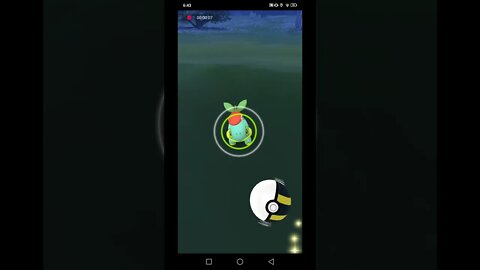 Pokémon GO-Lucas Hat Shiny Turtwig