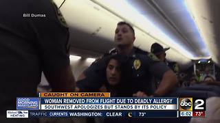 Woman removed from Southwest flight, airline apologizes