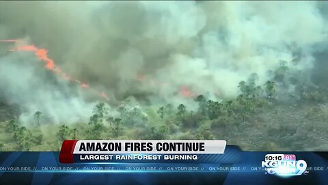 UA professor talks about the ongoing fire in the Amazon rainforest
