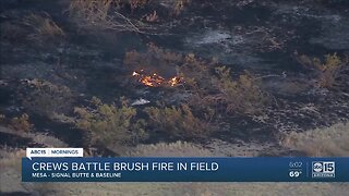 Crews battle brush fire in Mesa near Signal Butte and Baseline