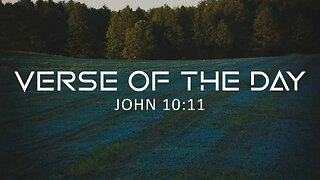 June 11, 2023 - John 10:11 // Verse of the Day