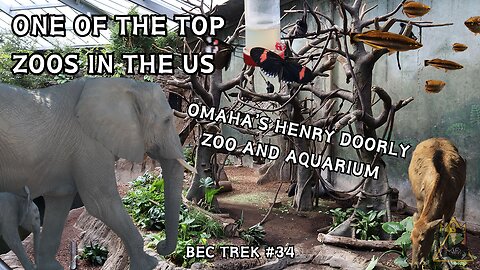 The One Zoo I Haven't Featured On BEC TREK | The Omaha Zoo | BEC TREK Episode 34