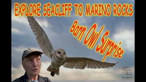 Explore Seacliff to Marino Rocks