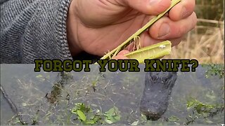 Forgot Your Knife? Here's the SURPRISING Solution!