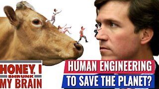 SCIENTIST SUGGESTS ENGINEERING HUMANS TO BE SMALLER AND EAT LESS MEAT TO FIGHT GLOBAL WARMING