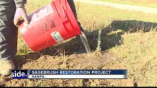 Landscape restoration at Deer Flat National Wildlife Refuge