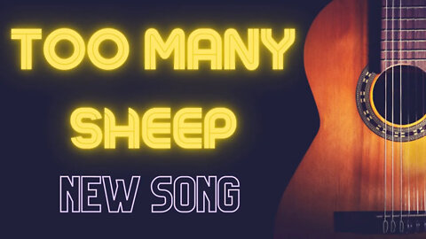 Too Many Sheep Lyrics | Acoustic Best song / Guitar Song 2022 #short