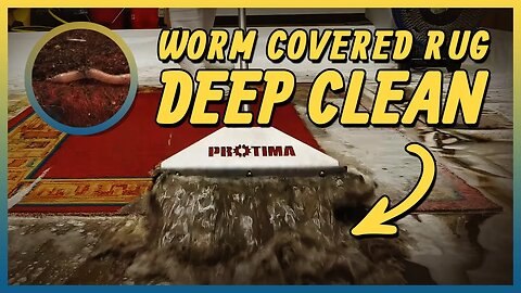 Worm Covered Carpet Restoration | Satisfying ASMR Rug Cleaning