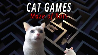 CAT GAMES: MAZE OF RATS!