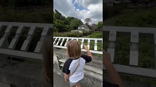 Musical Bridge in Japan 🇯🇵