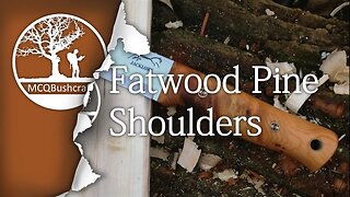 Bushcraft Fire Lighting: Finding Fatwood Pine Shoulder Tinder