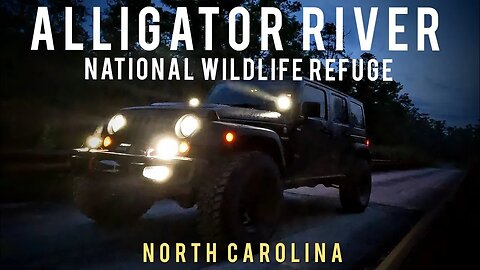 Alligator River National Wildlife Refuge - Exploring the Overland Trails - Jeep JK Rubicon Recon