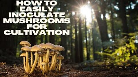 How to Easily Cultivate Your First Mushrooms